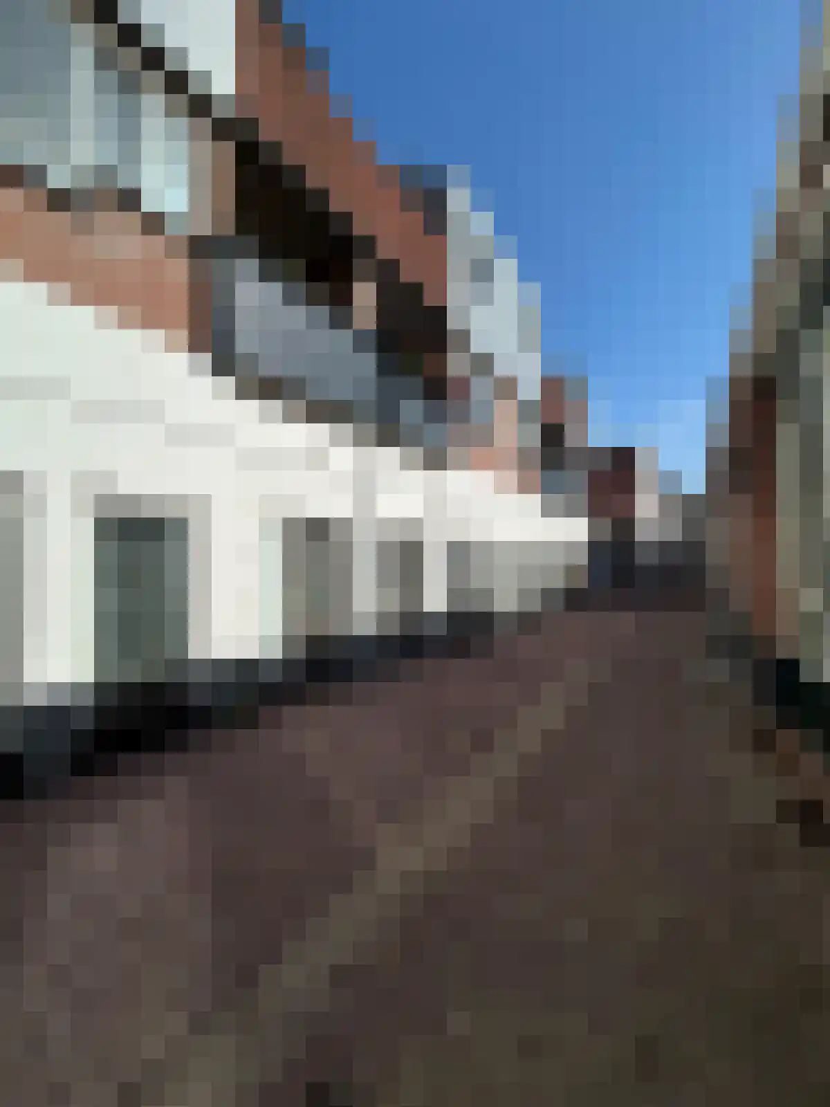 Roskamstraat 10 in Bergen op Zoom