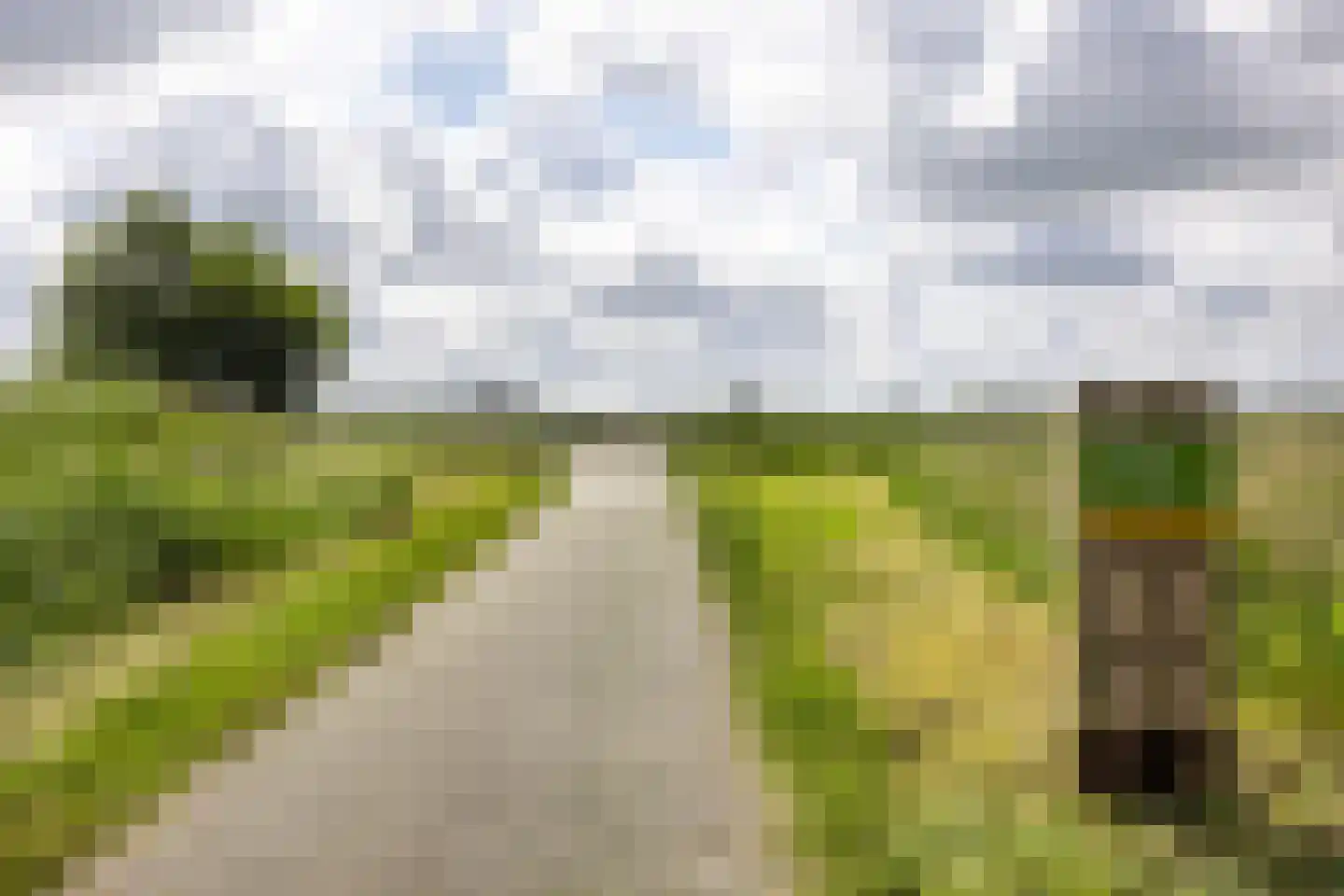 Roskamstraat 18 Haarlem thumbnail 23