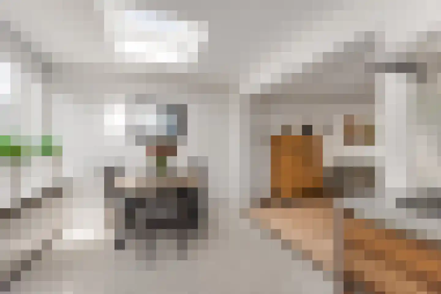 Roskamstraat 18 Haarlem thumbnail 9