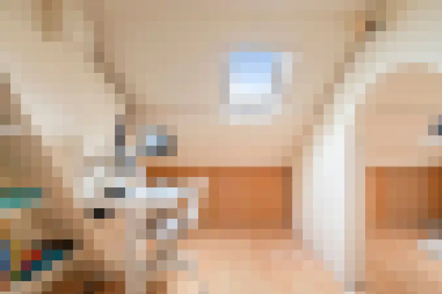 Roskamstraat 4 Haarlem thumbnail 37