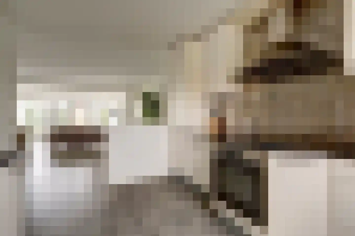 Roskamweide 17 Nieuwegein thumbnail 16