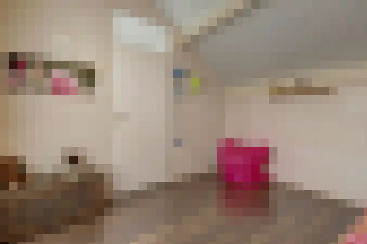 Roskamweide 17 Nieuwegein thumbnail 21