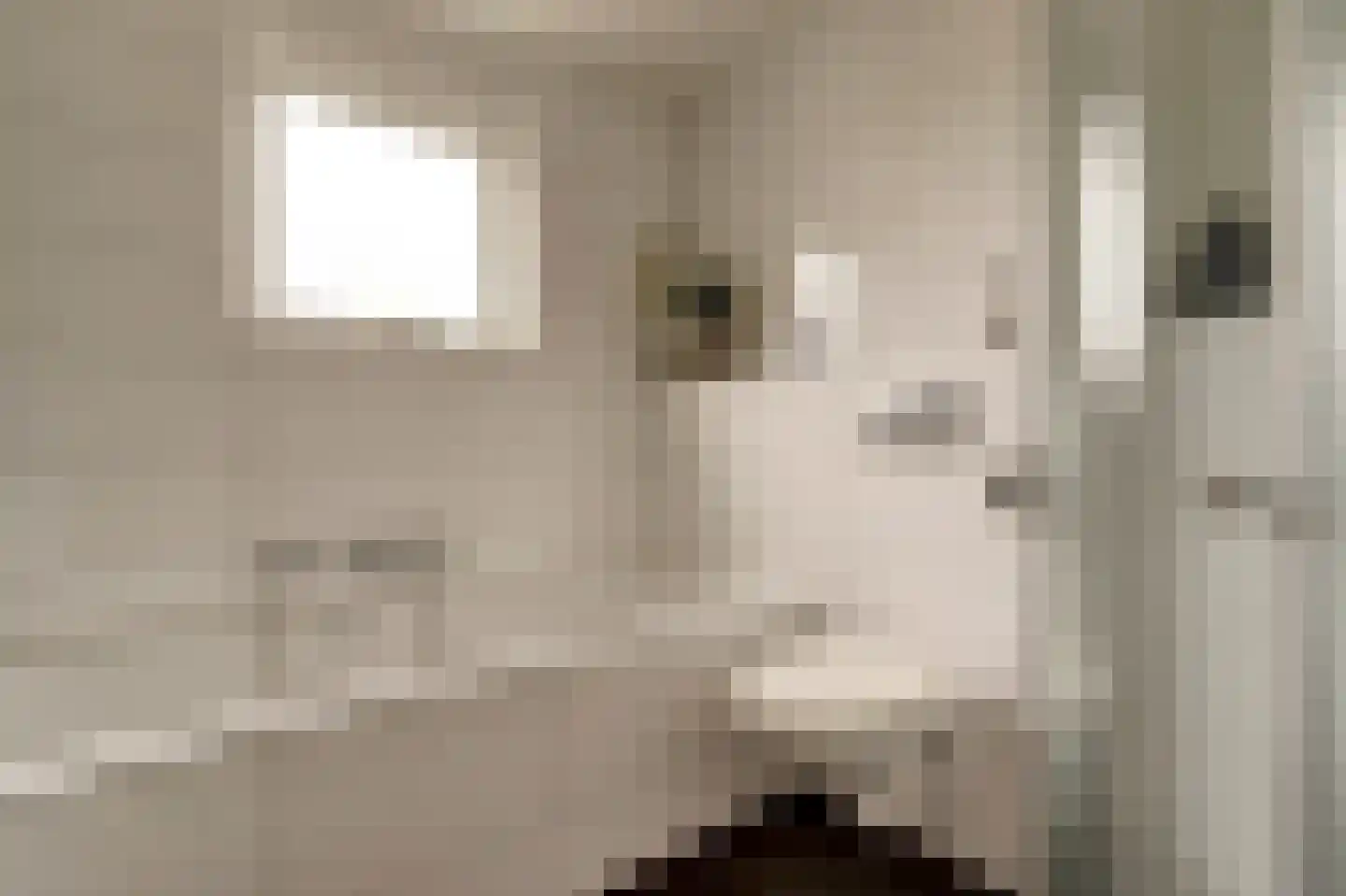 Roskamweide 17 Nieuwegein thumbnail 4