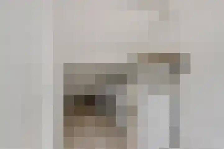 Roskamweide 27 Nieuwegein thumbnail 27