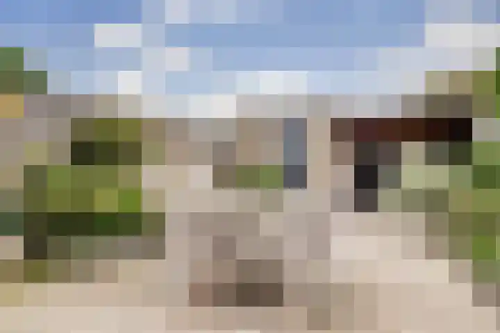 Roskamweide 27 Nieuwegein thumbnail 31