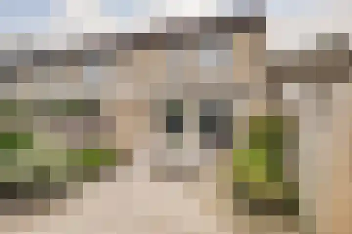 Roskamweide 27 Nieuwegein thumbnail 33