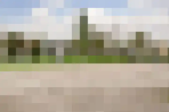 Roskamweide 27 Nieuwegein thumbnail 35