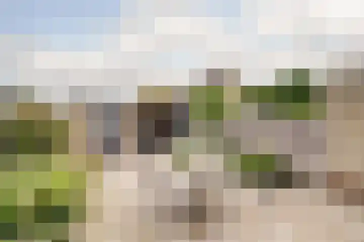 Roskamweide 27 Nieuwegein thumbnail 4
