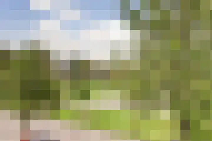 Roskamweide 27 Nieuwegein thumbnail 6