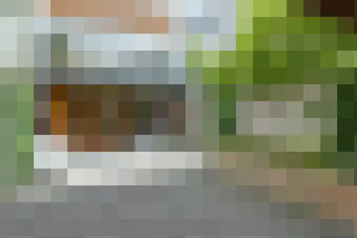 Rosmarijn 18 Uithoorn thumbnail 10