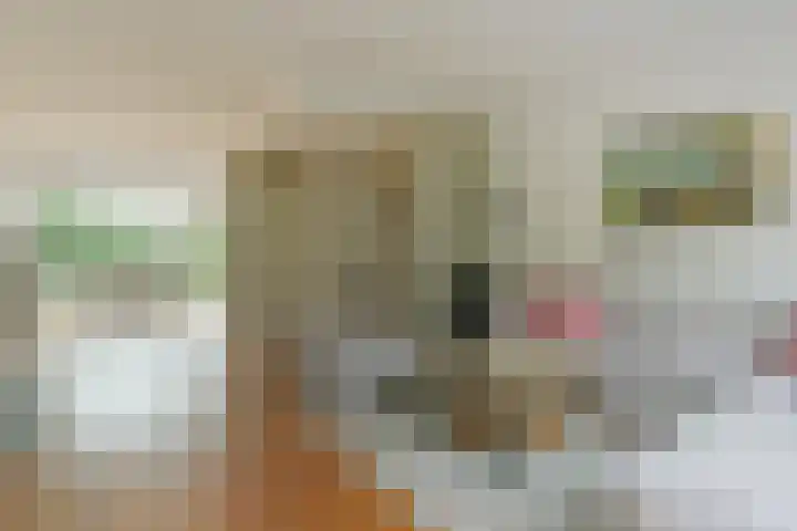Rosmarijn 18 Uithoorn thumbnail 14