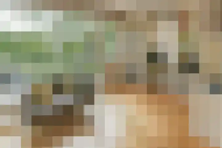 Rosmarijn 18 Uithoorn thumbnail 18
