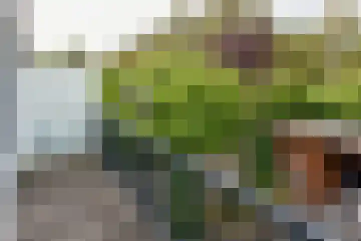 Rosmarijn 18 Uithoorn thumbnail 19