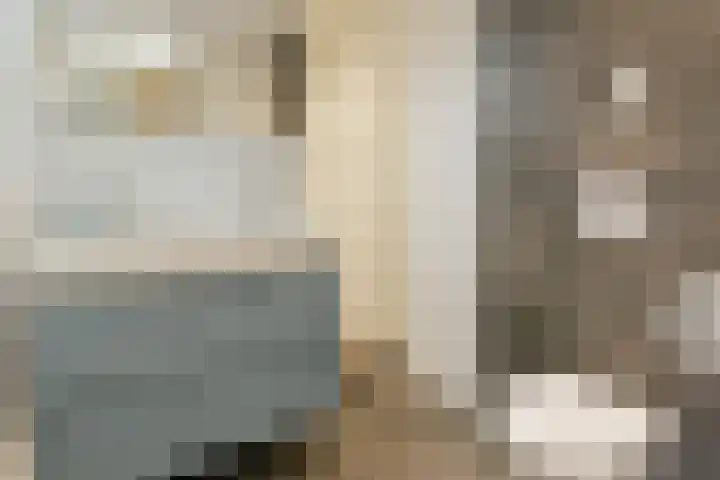 Rosmarijn 18 Uithoorn thumbnail 23