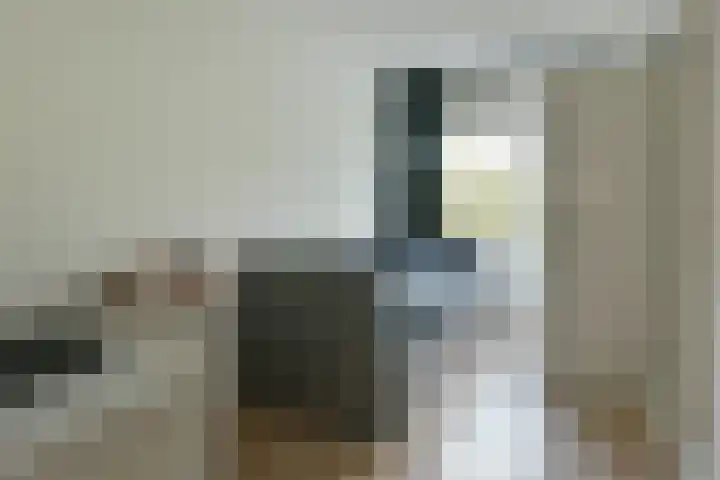 Rosmarijn 18 Uithoorn thumbnail 27