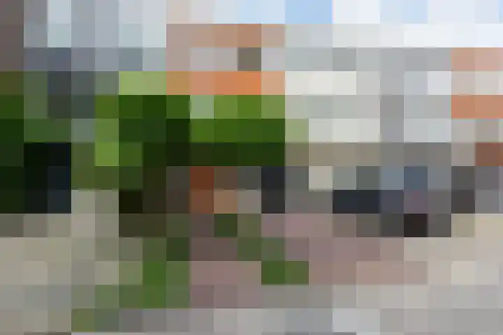 Rosmarijn 18 Uithoorn thumbnail 28