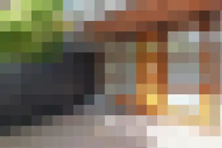Rosmarijn 18 Uithoorn thumbnail 29