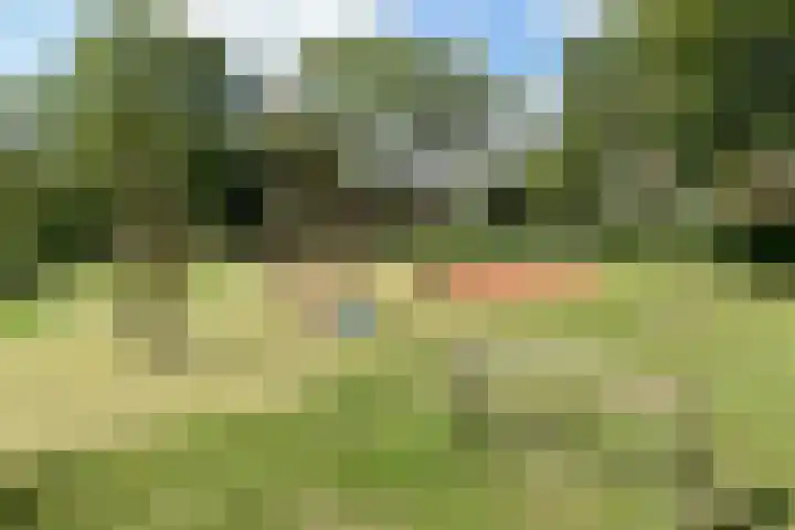 Rosmarijn 18 Uithoorn thumbnail 30