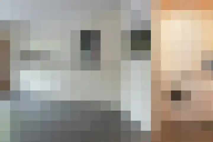 Rosmarijn 18 Uithoorn thumbnail 5