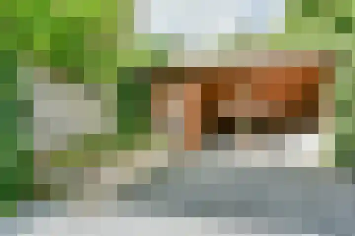 Rosmarijn 18 Uithoorn thumbnail 8