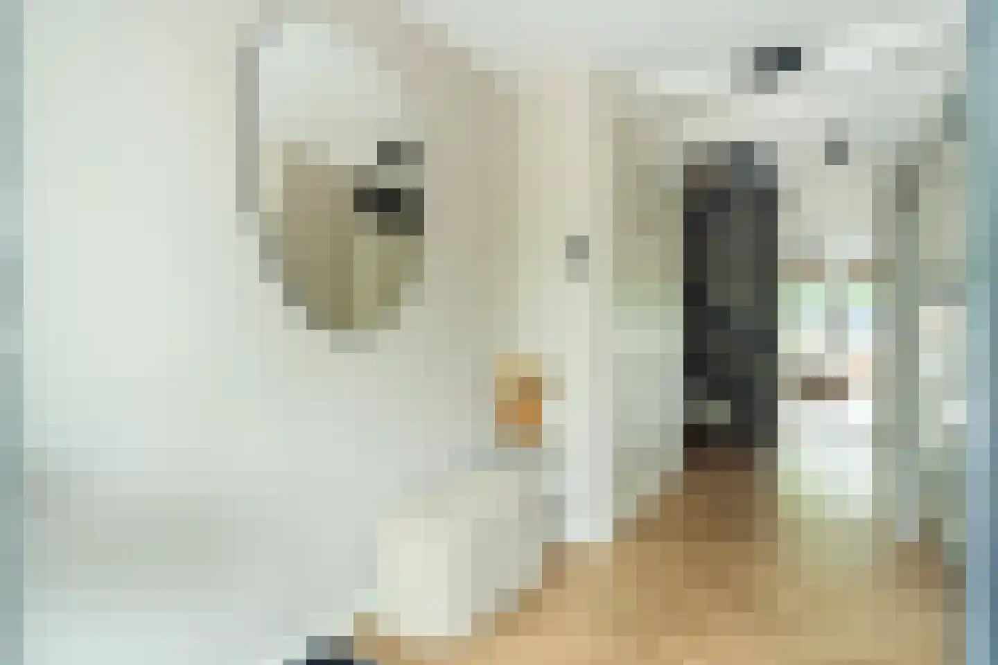 Rosmarijn 24 Uithoorn thumbnail 11