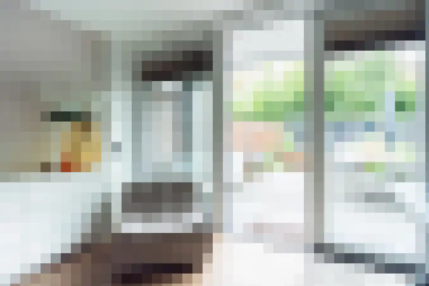 Rosmarijn 24 Uithoorn thumbnail 15