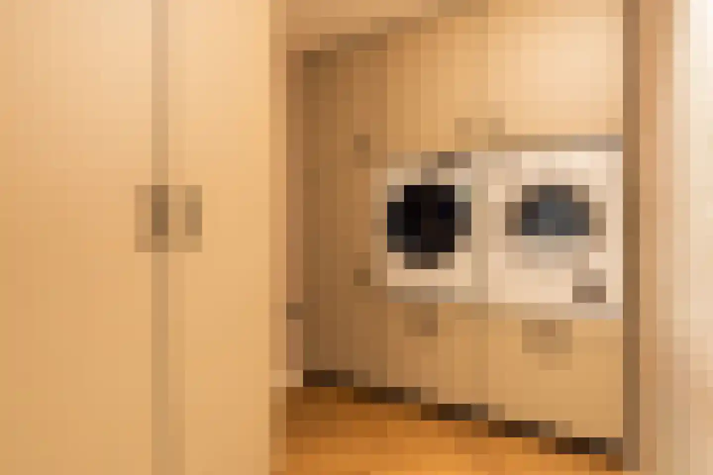 Rosmarijn 24 Uithoorn thumbnail 22