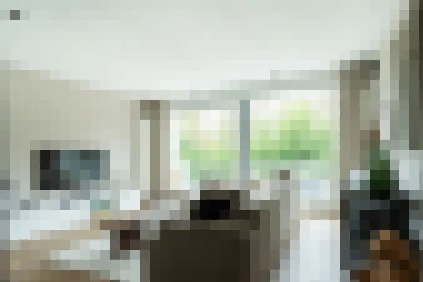 Rosmarijn 24 Uithoorn thumbnail 23