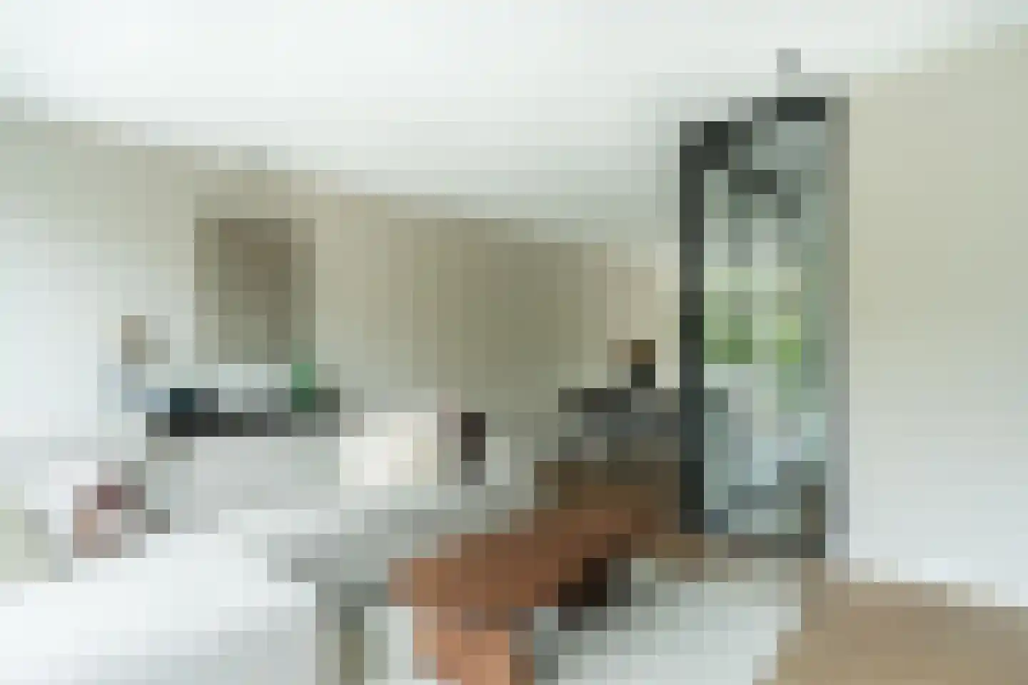 Rosmarijn 24 Uithoorn thumbnail 24
