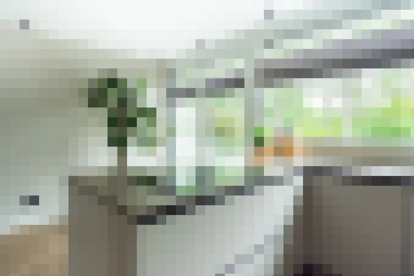 Rosmarijn 24 Uithoorn thumbnail 31