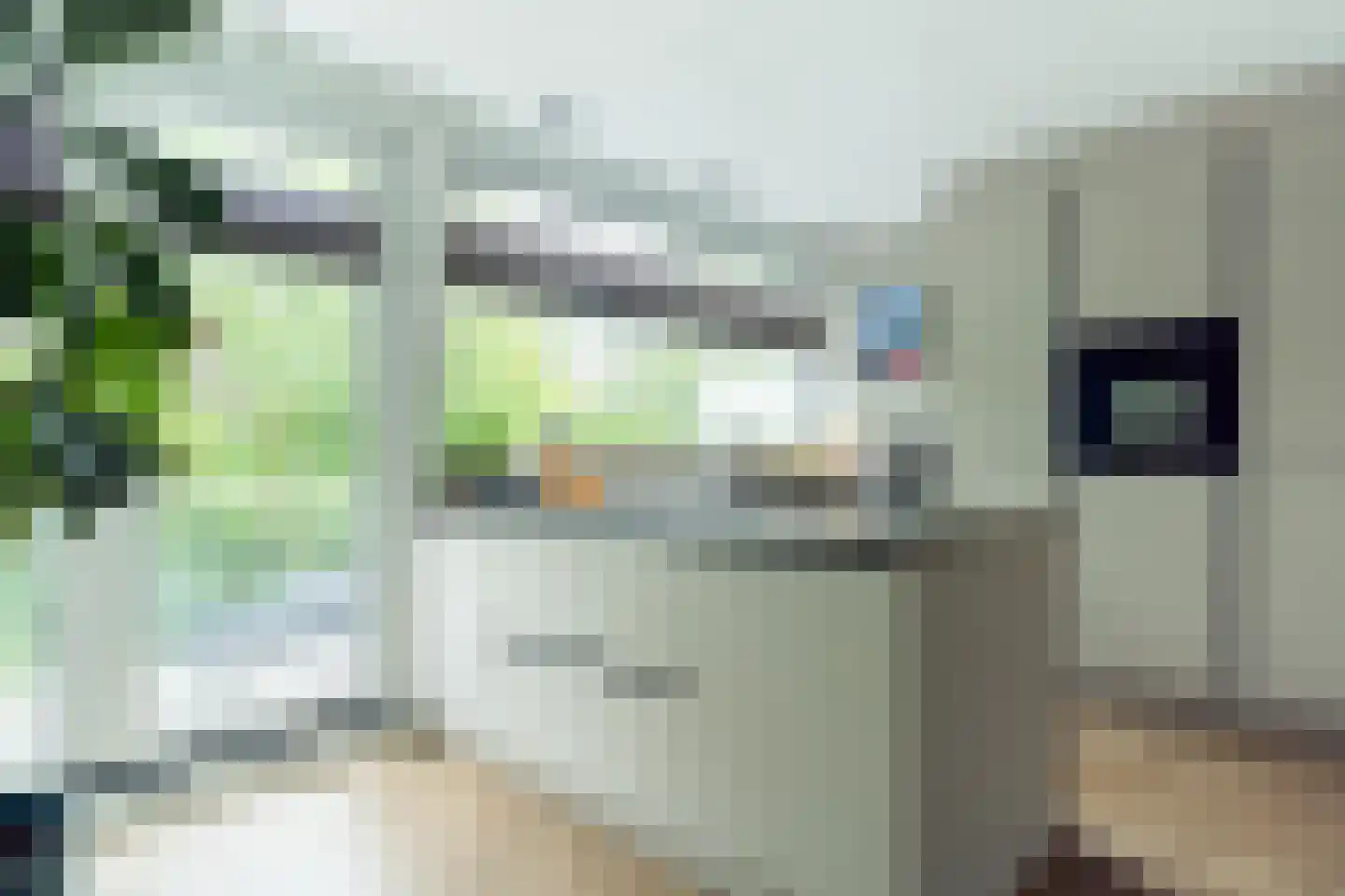 Rosmarijn 24 Uithoorn thumbnail 4