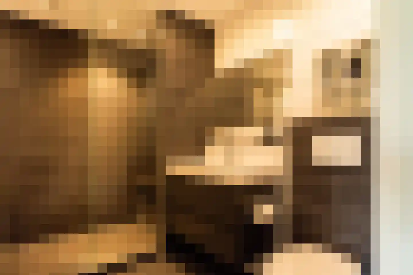 Rosmarijn 24 Uithoorn thumbnail 41