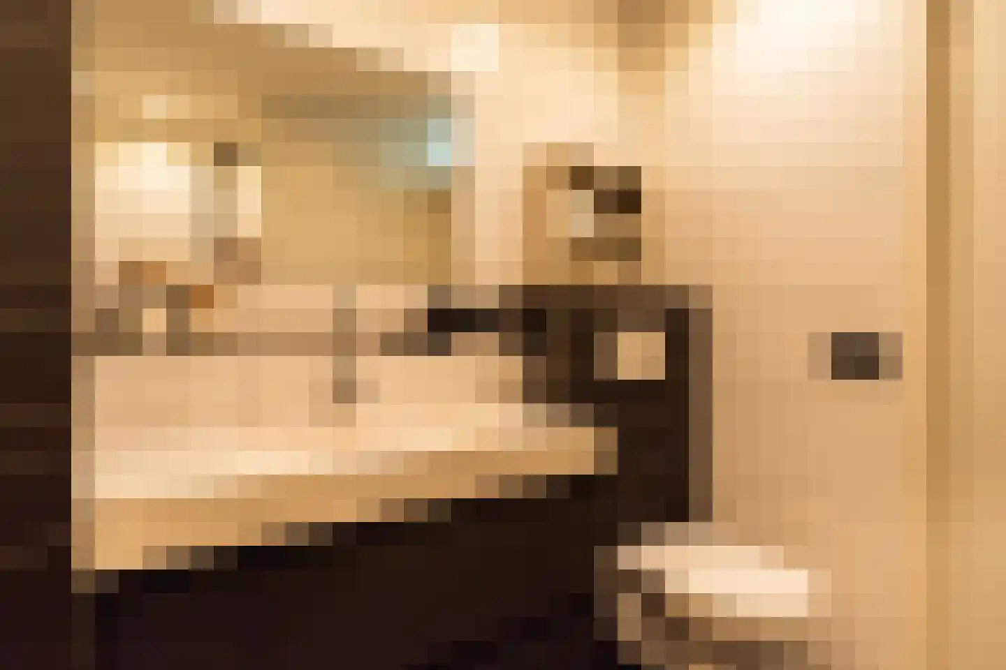 Rosmarijn 24 Uithoorn thumbnail 45