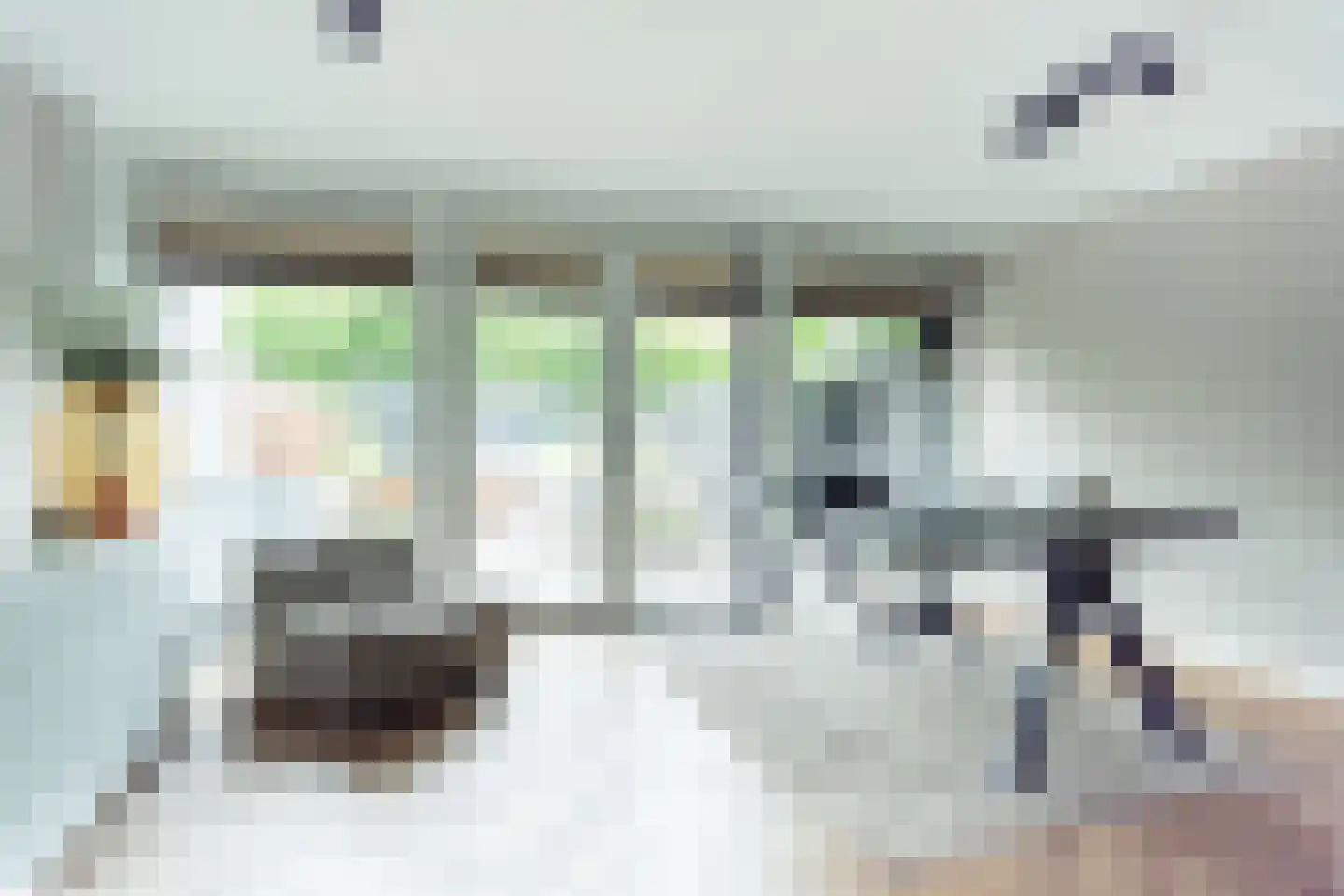 Rosmarijn 24 Uithoorn thumbnail 5