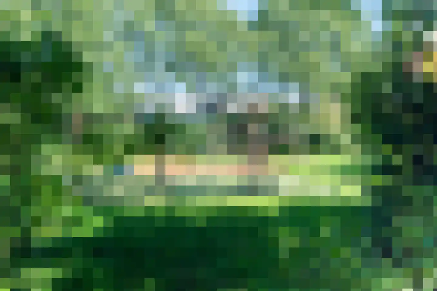 Rosmarijn 24 Uithoorn thumbnail 53