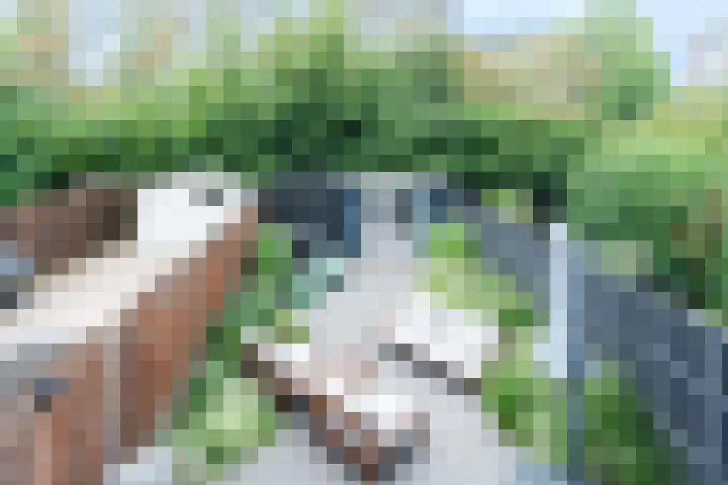Rosmarijn 24 Uithoorn thumbnail 6