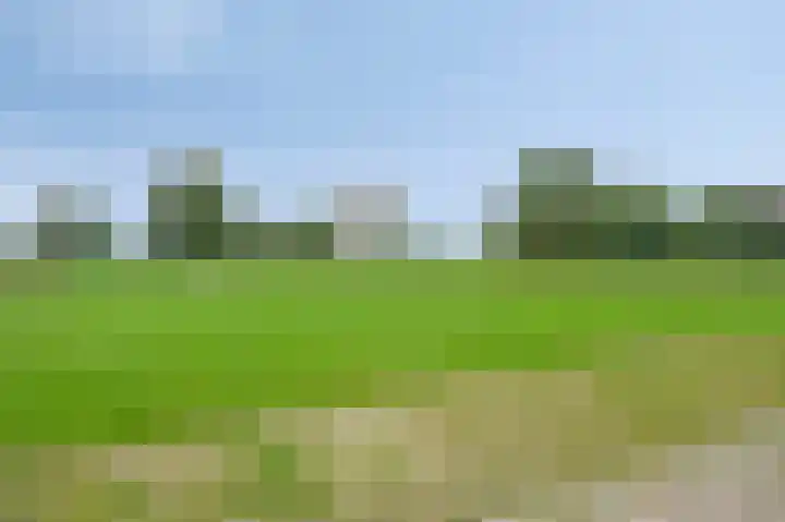 Rosmeerpad 9 Maastricht thumbnail 4