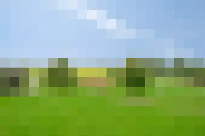 Rosmeerpad 9 Maastricht thumbnail 5