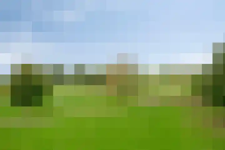 Rosmeerpad 9 Maastricht thumbnail 6