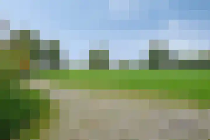 Rosmeerpad 9 Maastricht thumbnail 7