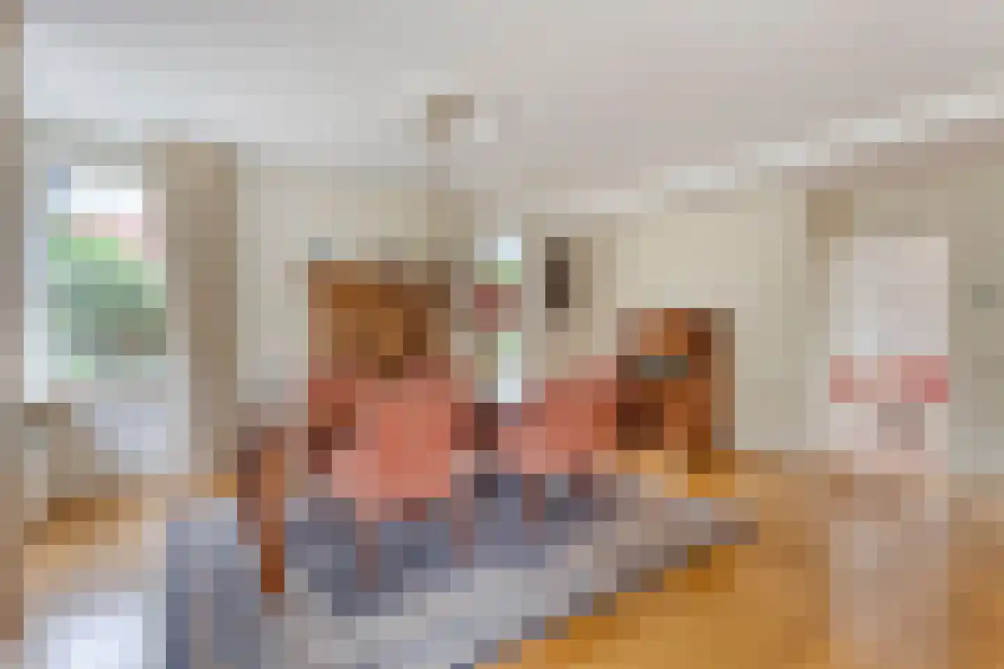 Rosmolen 1 Noord-Scharwoude thumbnail 17