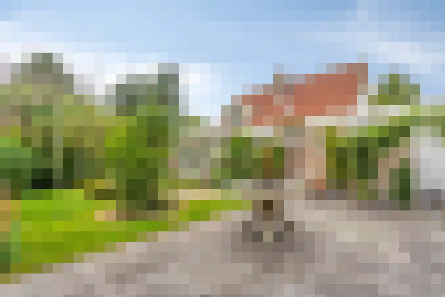 Rosmolen 1 Noord-Scharwoude foto 2