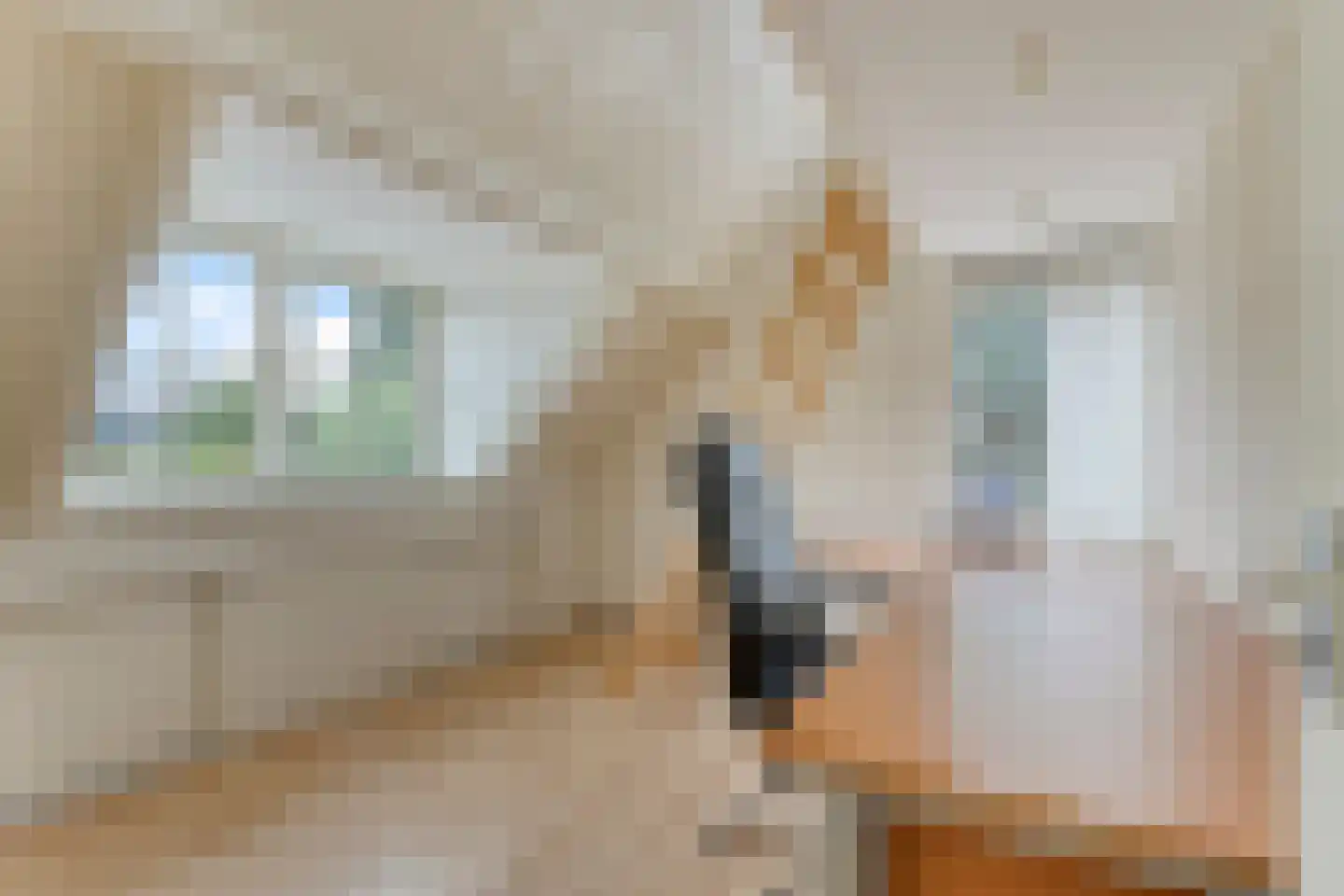 Rosmolen 1 Noord-Scharwoude thumbnail 27