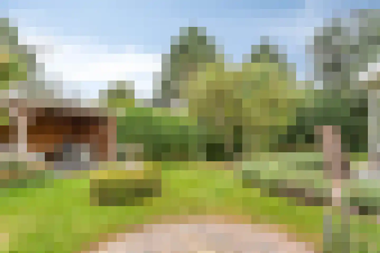 Rosmolen 1 Noord-Scharwoude thumbnail 5