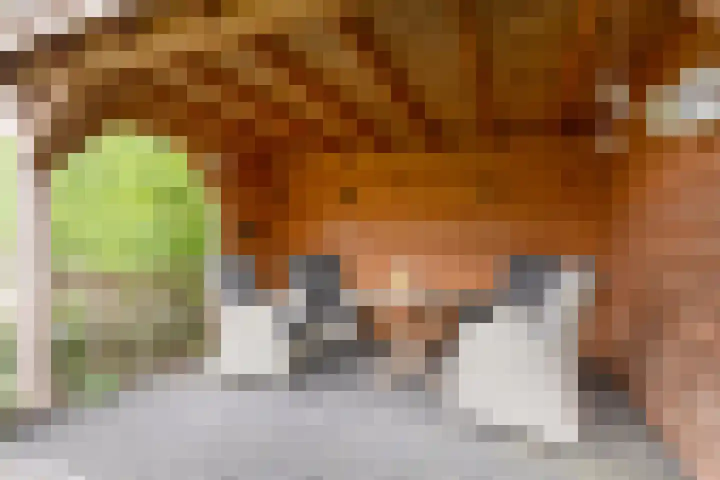 Rosmolen 1 Noord-Scharwoude thumbnail 6