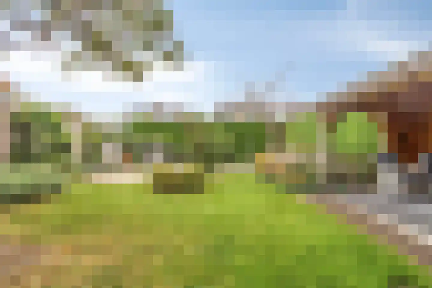 Rosmolen 1 Noord-Scharwoude thumbnail 7
