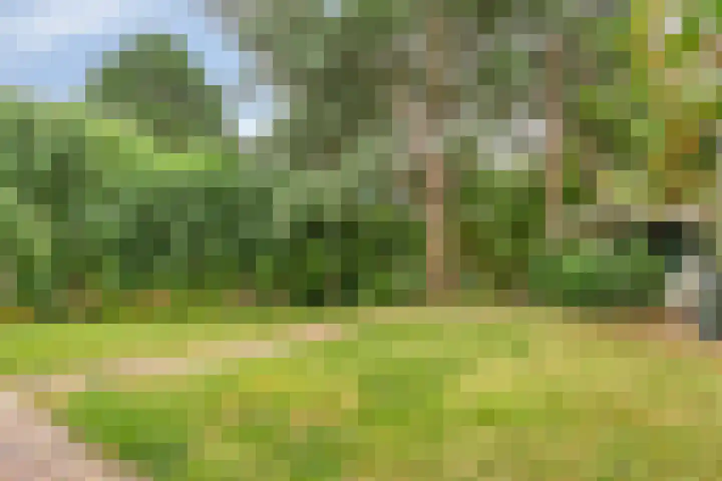 Rosmolen 1 Noord-Scharwoude thumbnail 8
