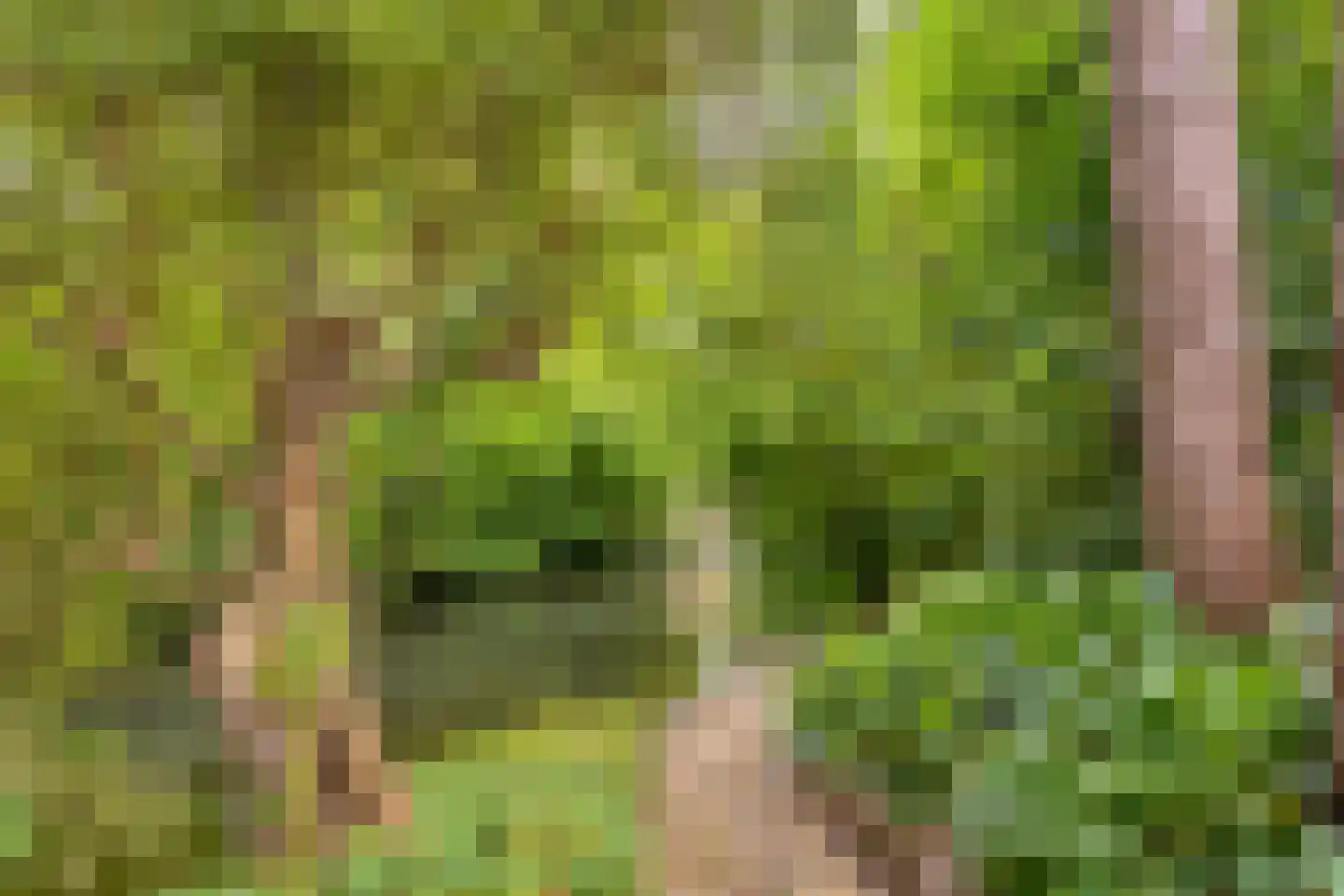 Rosmolen 1 Noord-Scharwoude thumbnail 9