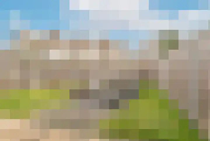 Rosmolen 1 Wijk bij Duurstede thumbnail 12