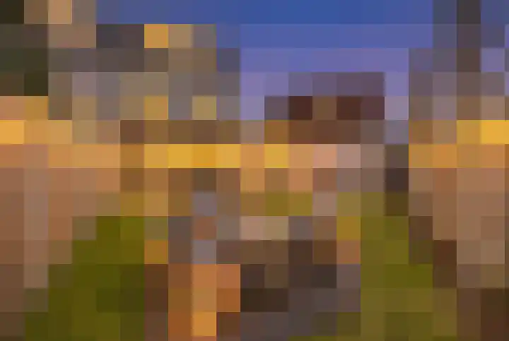 Rosmolen 1 Wijk bij Duurstede thumbnail 13
